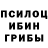 Галлюциногенные грибы мицелий Pronto Hrass.Y
