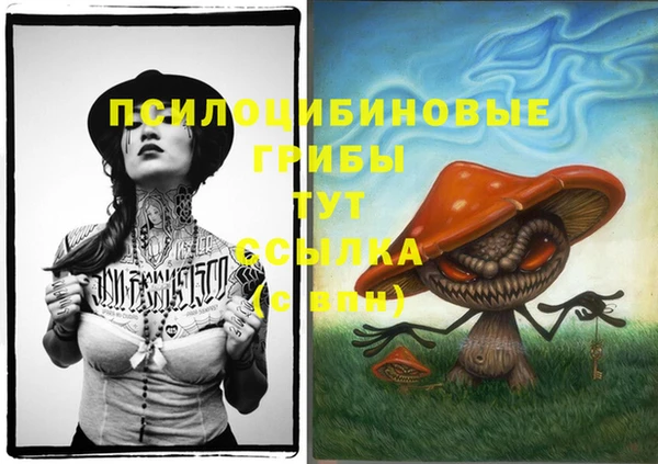 Альфа ПВП Ладушкин