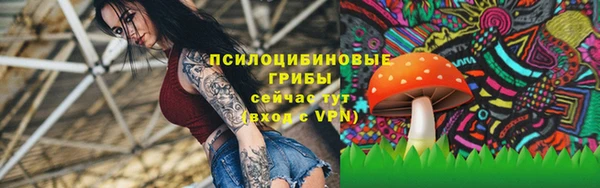 Альфа ПВП Ладушкин