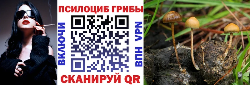 Галлюциногенные грибы прущие грибы  Михайловка 