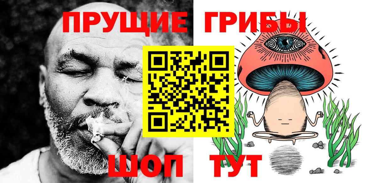 Галлюциногенные грибы GOLDEN TEACHER  Михайловка  Галлюциногенные грибы Cubensis 