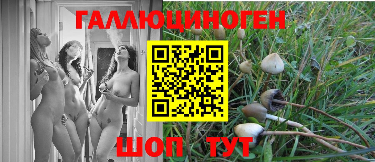 Псилоцибиновые грибы мицелий Михайловка