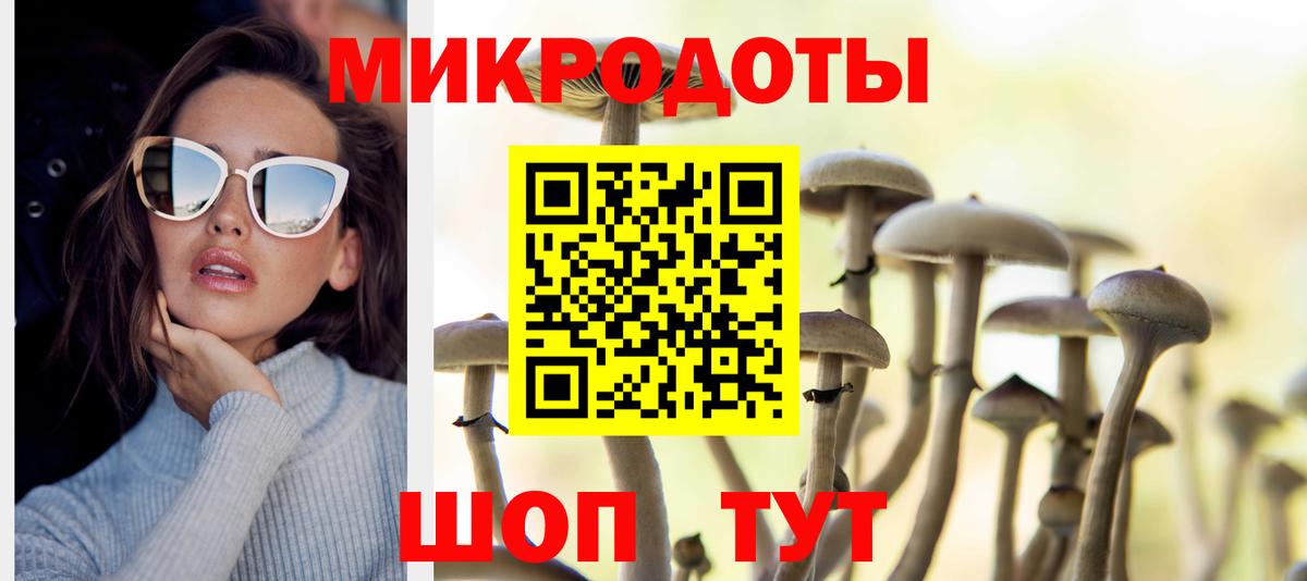 Псилоцибиновые грибы Psilocybe  Вход с VPN  Михайловка 