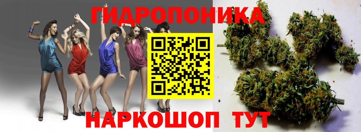 Марихуана план Михайловка