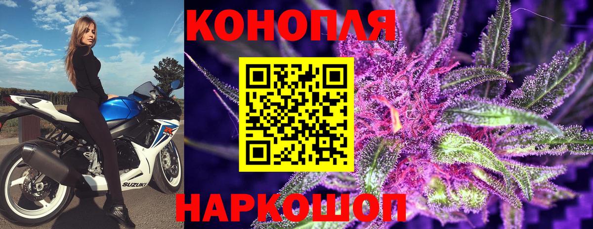 Шишки марихуана план  Марихуана Bruce Banner  Вход с VPN  Михайловка  Бошки Шишки сатива 
